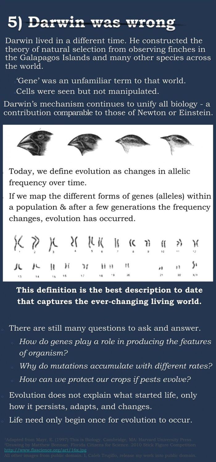 The Evolution Argument Continues (7 pics)