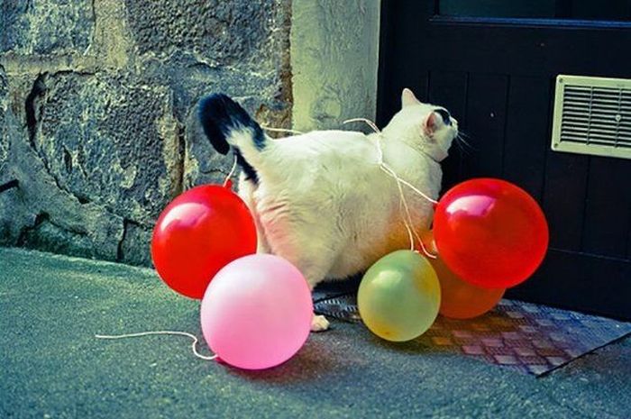 Acid Picdump (123 pics)