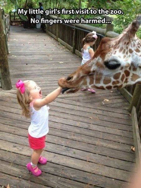 Acid Picdump (123 pics)