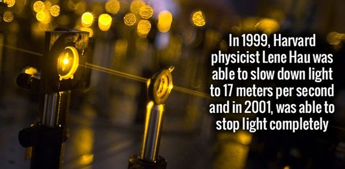 These Facts Will Make You Wonder (34 pics)