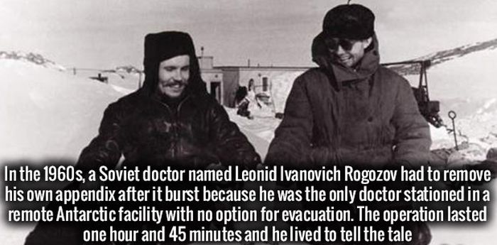 These Facts Will Make You Wonder (34 pics)