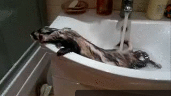 Acid Gifdump, July 03, 2014 (25 gifs)