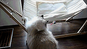 Acid Gifdump, July 03, 2014 (25 gifs)