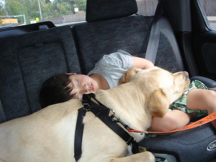 A Dog Is Your Kid's Best Friend (29 pics)