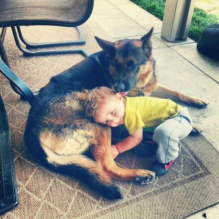 A Dog Is Your Kid's Best Friend (29 pics)