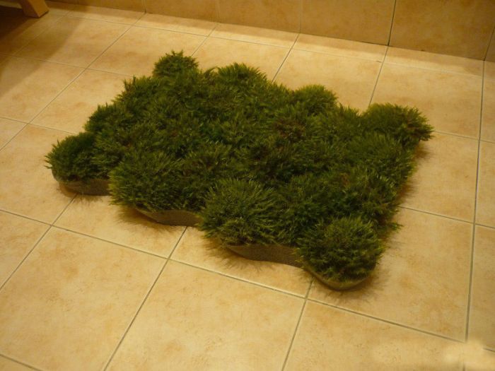 Homemade Grass Bath Mat (9 pics)