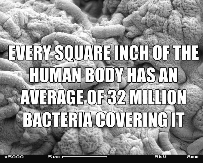 Completely Horrifying Facts That Will Change You (22 pics)