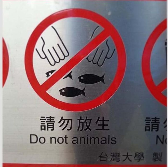 When Words Get Lost In Translation It's Just Great (31 pics)
