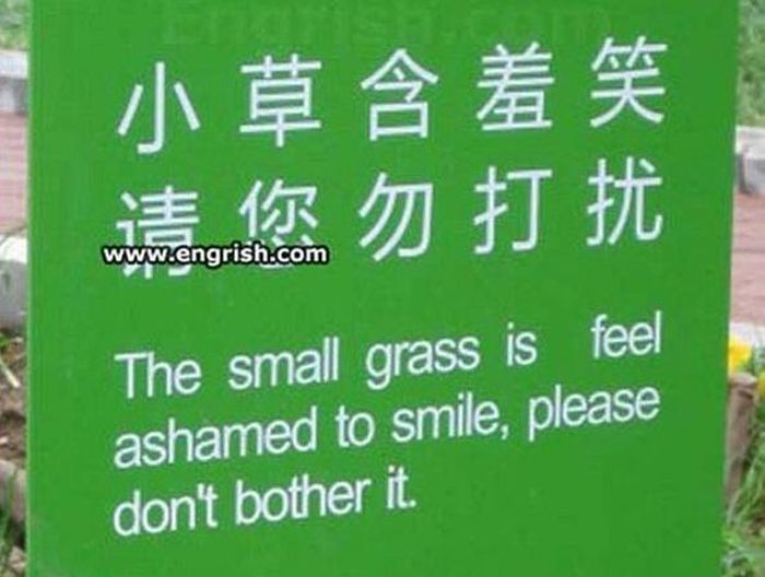 When Words Get Lost In Translation It's Just Great (31 pics)