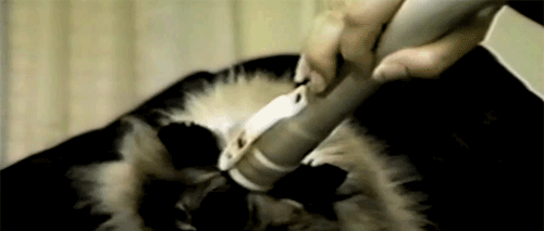 Acid Gifdump, July 07, 2014 (25 gifs)