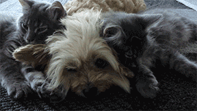 Acid Gifdump, July 07, 2014 (25 gifs)