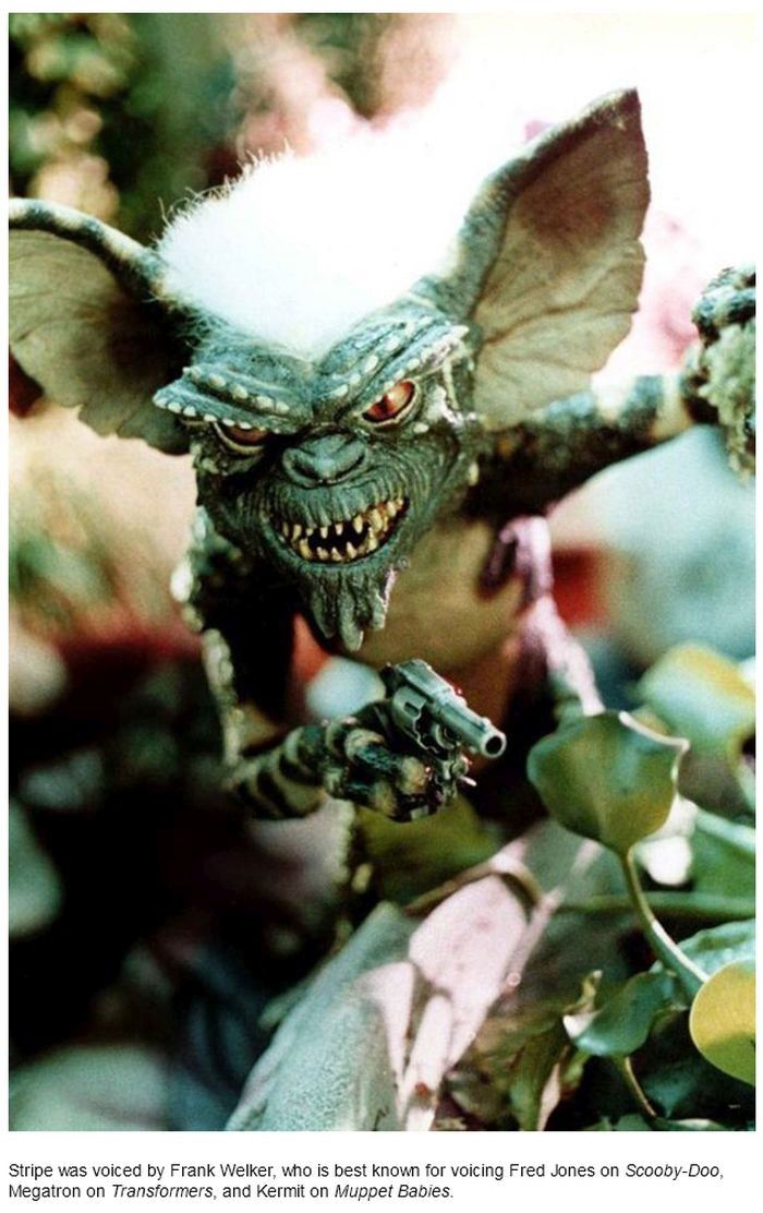 15 Facts You Didn't Know About Gremlins (15 pics)