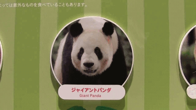 The Strangest Museum Ever (13 pics)