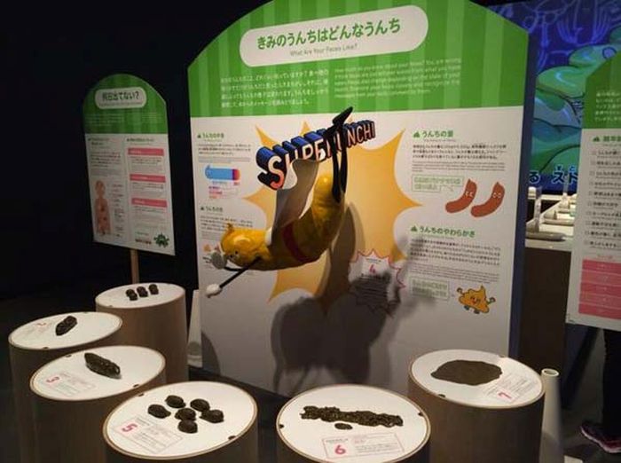 The Strangest Museum Ever (13 pics)