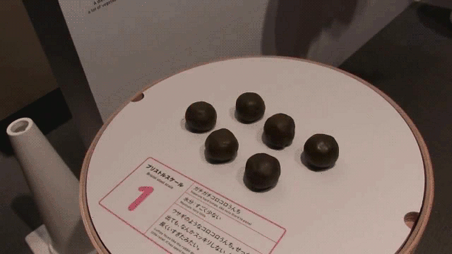 The Strangest Museum Ever (13 pics)