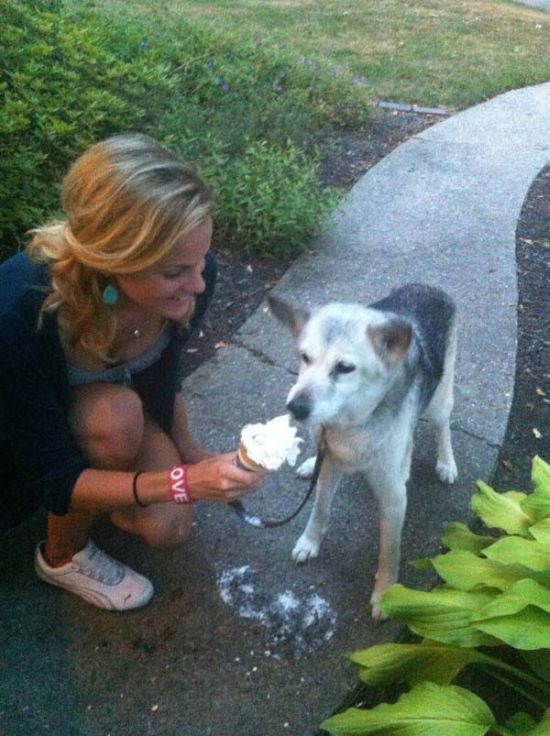 This Dog Gets An Epic Last Meal (6 pics)