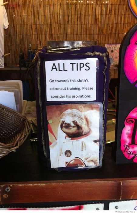 Here Are Some Puns You Can Appreciate (41 pics)
