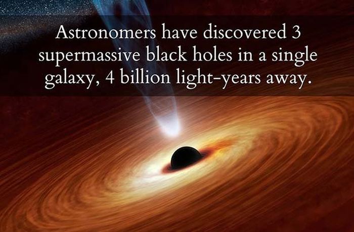 You Need To Know These Science Facts (26 pics)