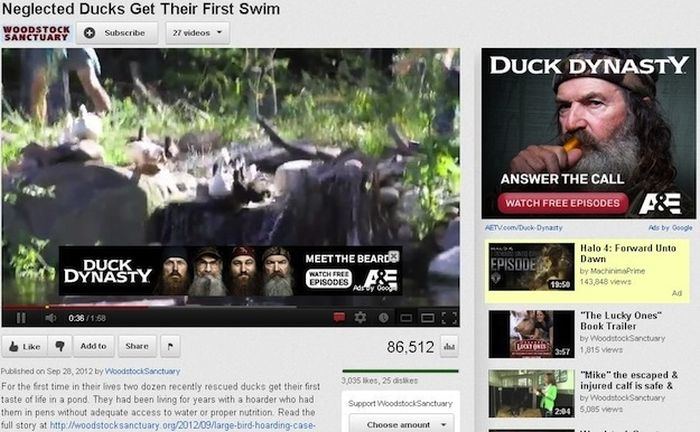 Perfectly Timed YouTube Ads (17 pics)