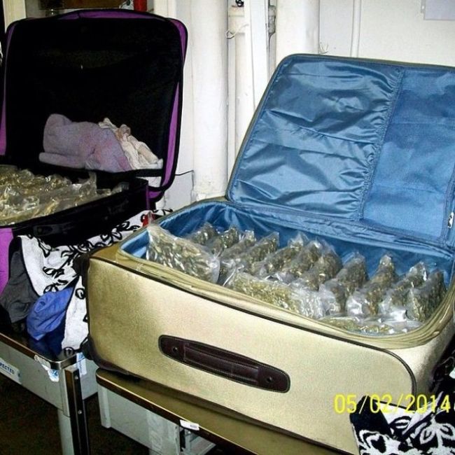 Why Would You Try To Bring This On A Plane? (25 pics)