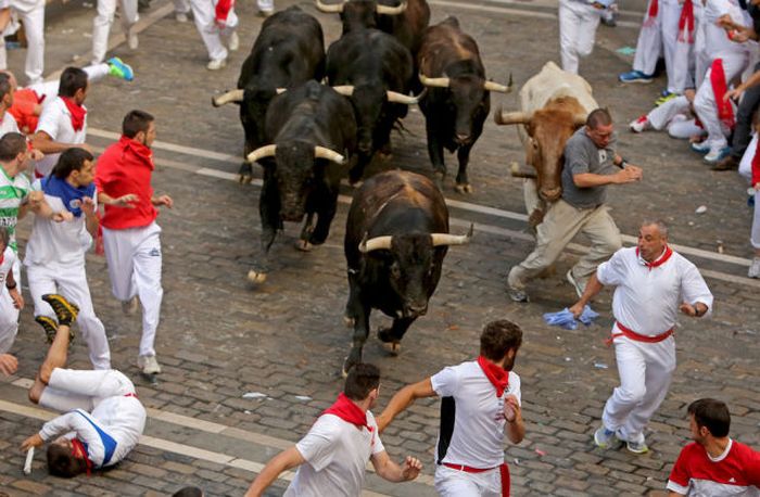 Spain's Annual Street Festival Is A Lot Of Fun (57 pics)