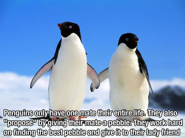 These Facts Will Make You Happy (20 pics)