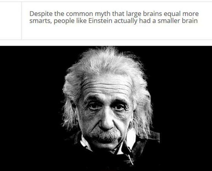 Facts About Your Brain That Might Blow Your Mind (25 pics)