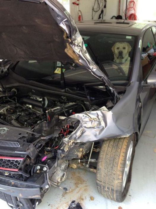 Funny Car-Themed Photos. Part 10 (57 pics)