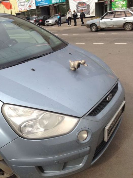 Funny Car-Themed Photos. Part 10 (57 pics)