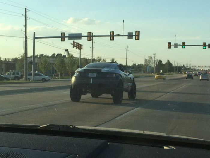 Funny Car-Themed Photos. Part 10 (57 pics)