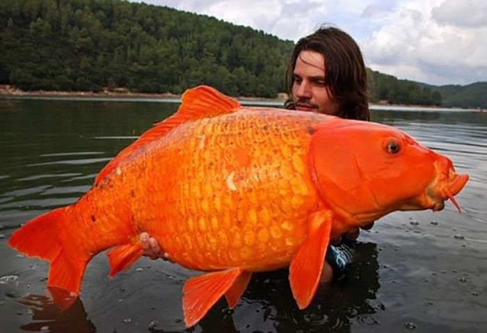 Crazy Photos That Weren't Photoshopped (23 pics)