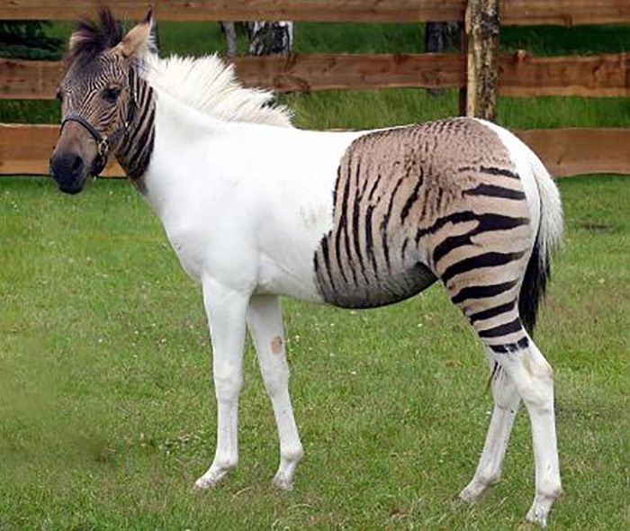 Crazy Photos That Weren't Photoshopped (23 pics)