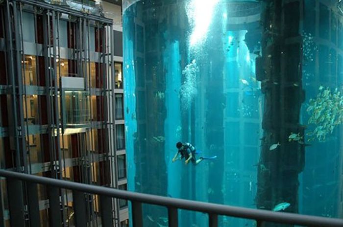 Crazy Photos That Weren't Photoshopped (23 pics)