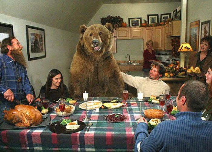 Crazy Photos That Weren't Photoshopped (23 pics)