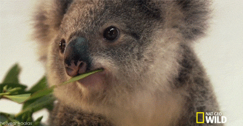 Acid Gifdump, July 15, 2014 (25 gifs)