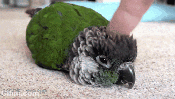 Acid Gifdump, July 15, 2014 (25 gifs)