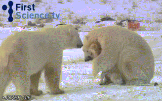 Acid Gifdump, July 15, 2014 (25 gifs)