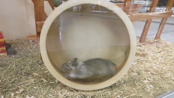 Acid Gifdump, July 15, 2014 (25 gifs)