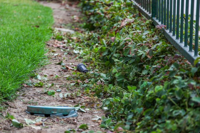 People Destroy Park Looking For Hidden Cash (12 pics)