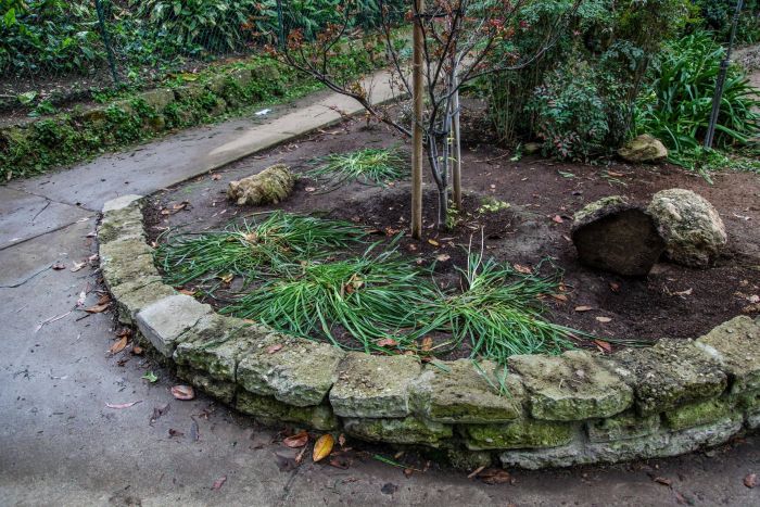 People Destroy Park Looking For Hidden Cash (12 pics)