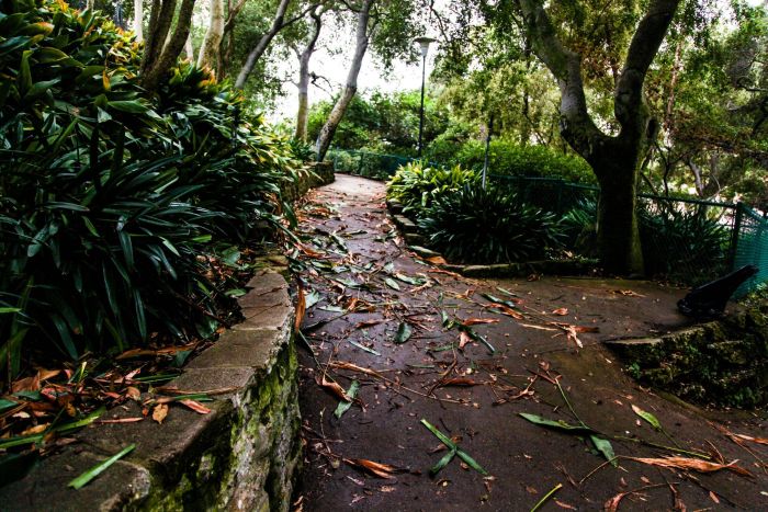 People Destroy Park Looking For Hidden Cash (12 pics)
