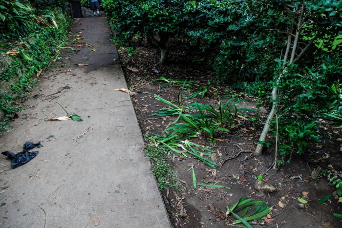 People Destroy Park Looking For Hidden Cash (12 pics)