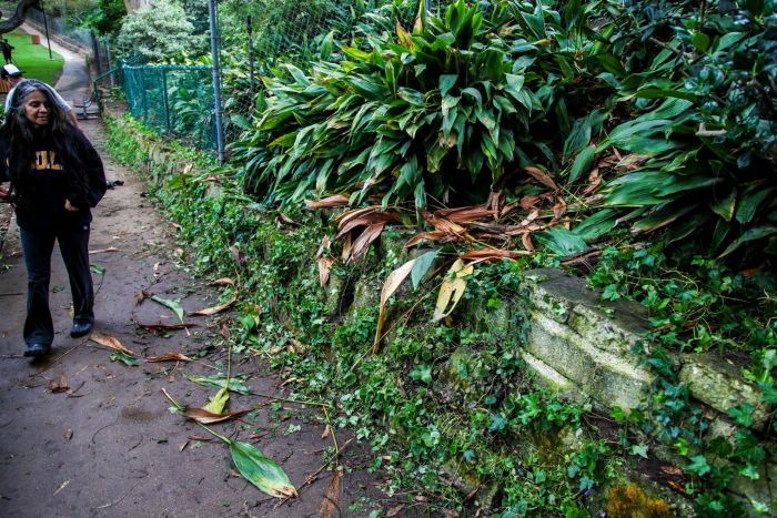People Destroy Park Looking For Hidden Cash (12 pics)