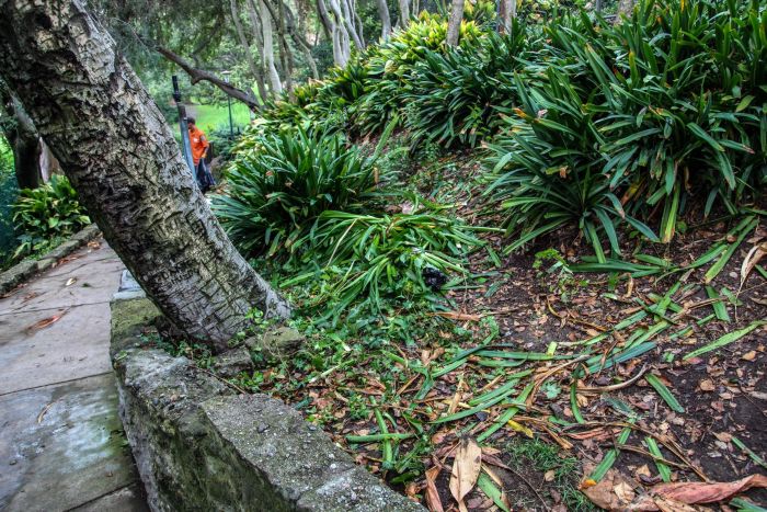People Destroy Park Looking For Hidden Cash (12 pics)