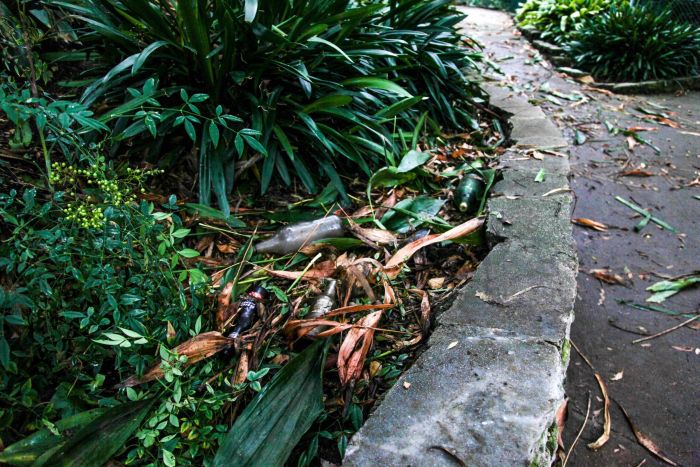 People Destroy Park Looking For Hidden Cash (12 pics)
