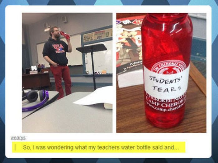 Awesome Teachers (35 pics)