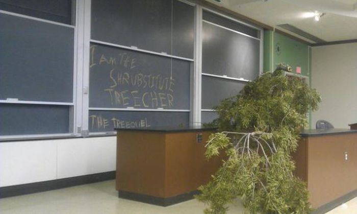 Awesome Teachers (35 pics)