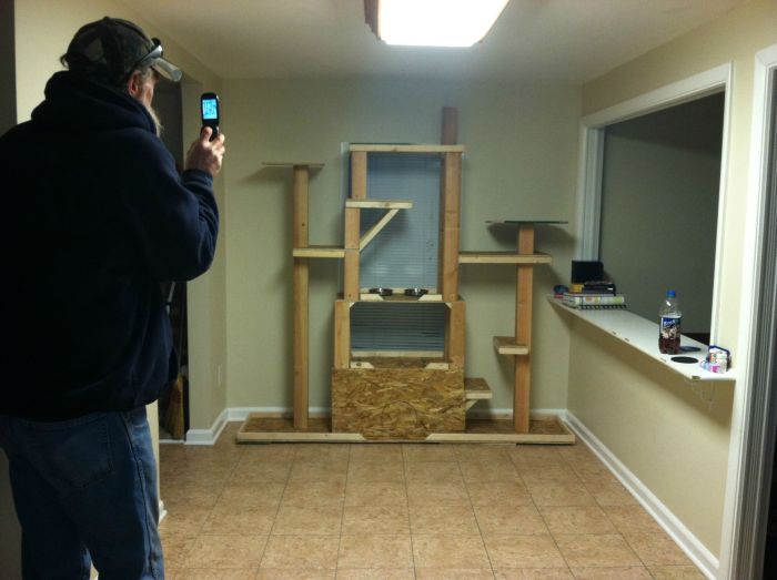 These Cats Are Living The Dream In This Tower (15 pics)