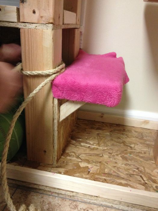 These Cats Are Living The Dream In This Tower (15 pics)
