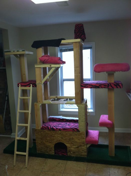 These Cats Are Living The Dream In This Tower (15 pics)